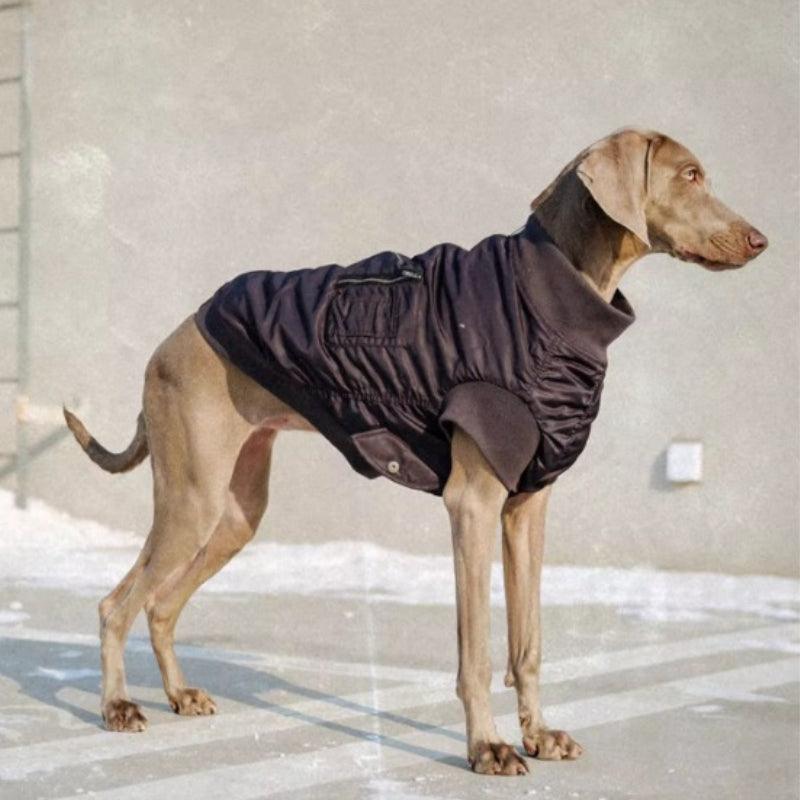 BBPRODUCTION® Pilot Dog Jacket - KIKOPALS