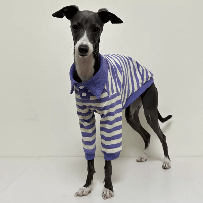 A HUNTING DOG® Cotton Dog Polo Shirt - KIKOPALS