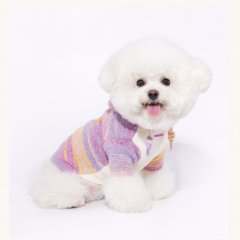 MookiPet® Striped Gradient Hoodie for Dogs – Yellow Purple
