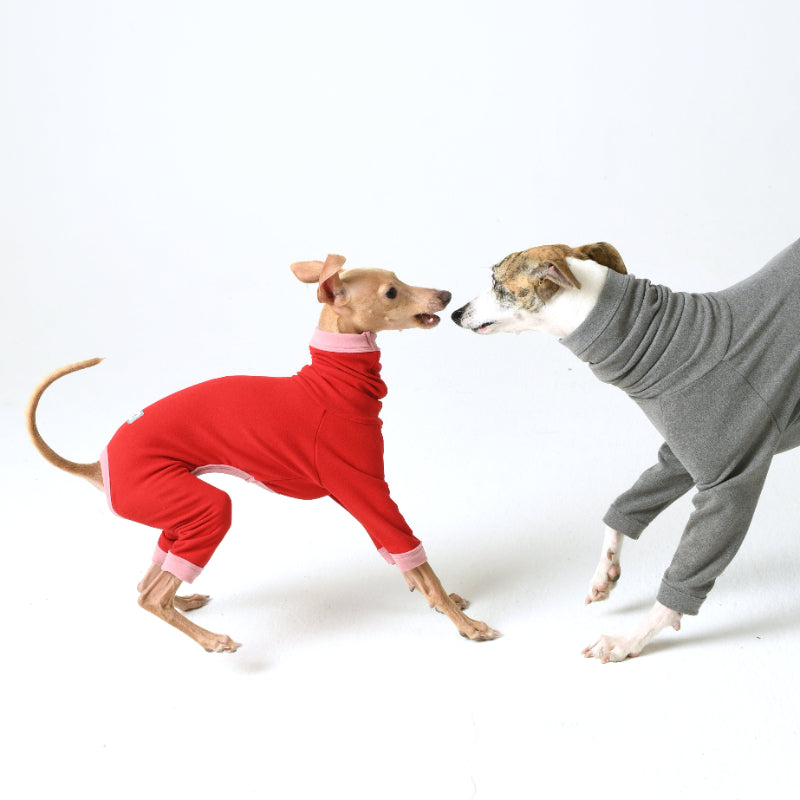 iiNeed® Comfortable Base Layer for Dogs