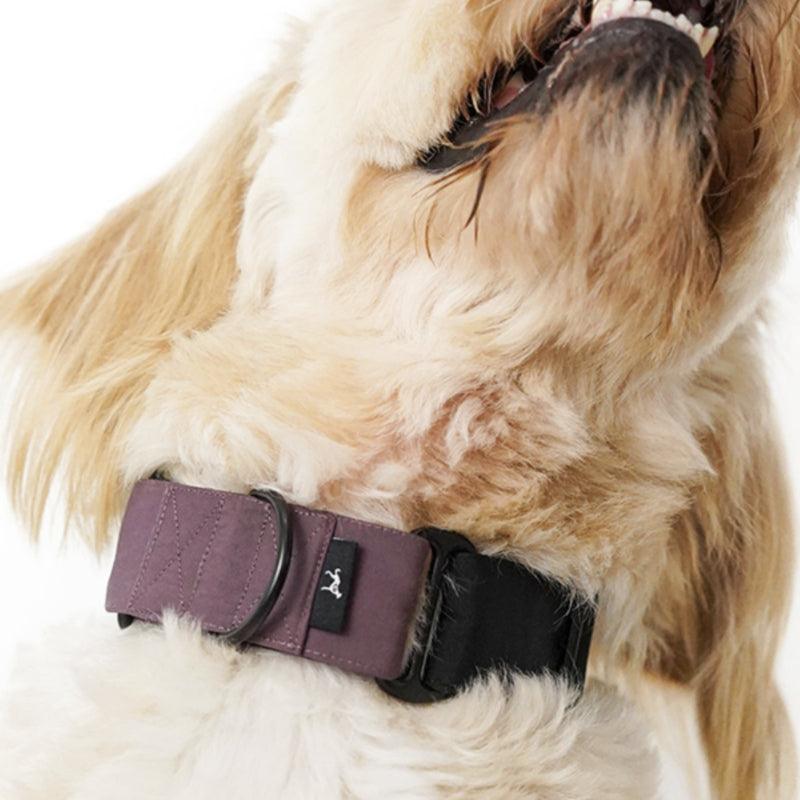 Hound Co.® Martingale Pet Collar - KIKOPALS