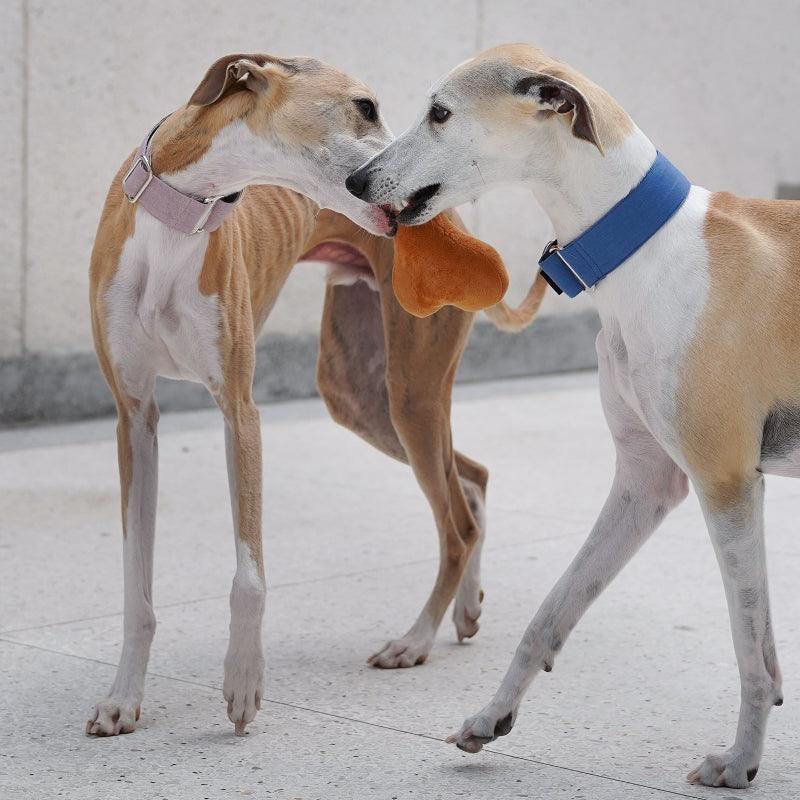 Hound Co.® Anti-Escape Dog Collar - KIKOPALS