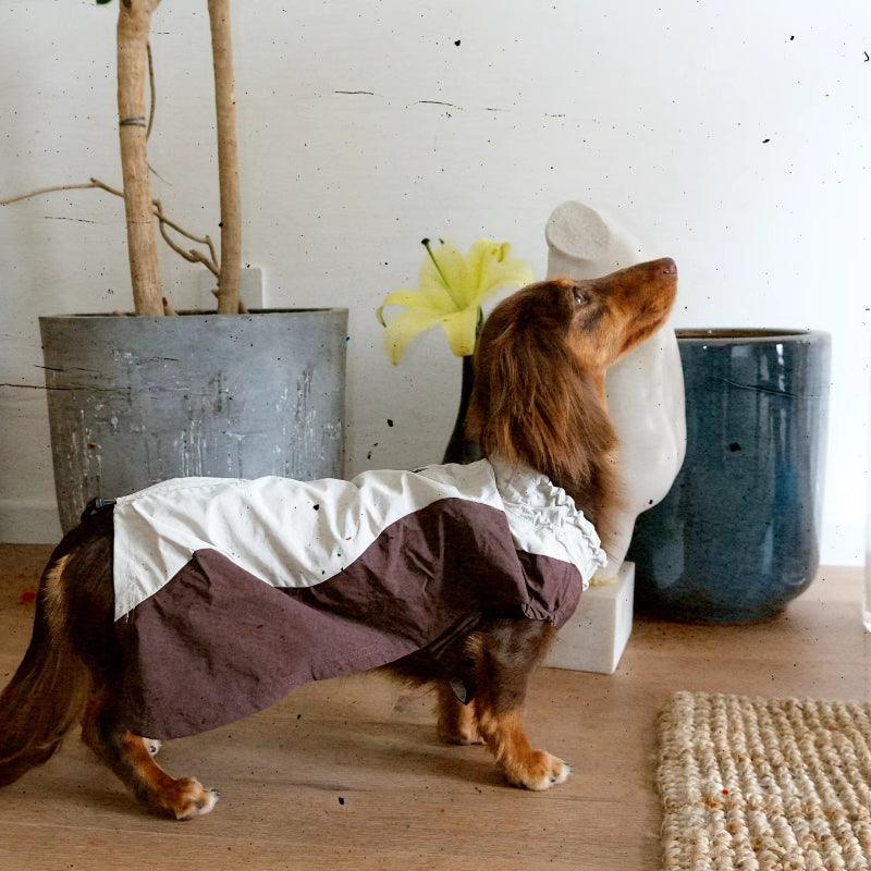 BBPRODUCTION® High-Tech Waterproof Dog Raincoat - KIKOPALS