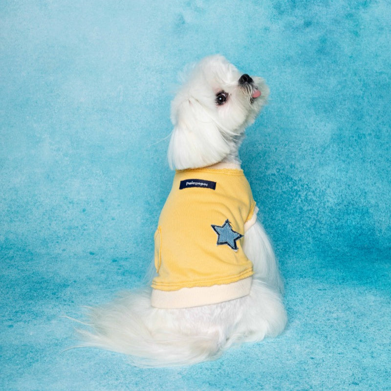 PalettePet® Star Pocket Sweater for Dogs – Yellow