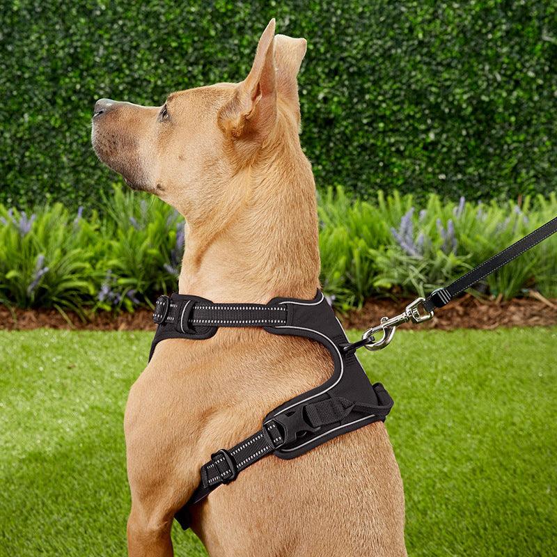 KIKOPALS® No-Pull Dog Harness - KIKOPALS