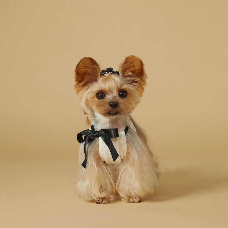 KIYOTT®  Vine Lady Simple Princess Dress for Dogs