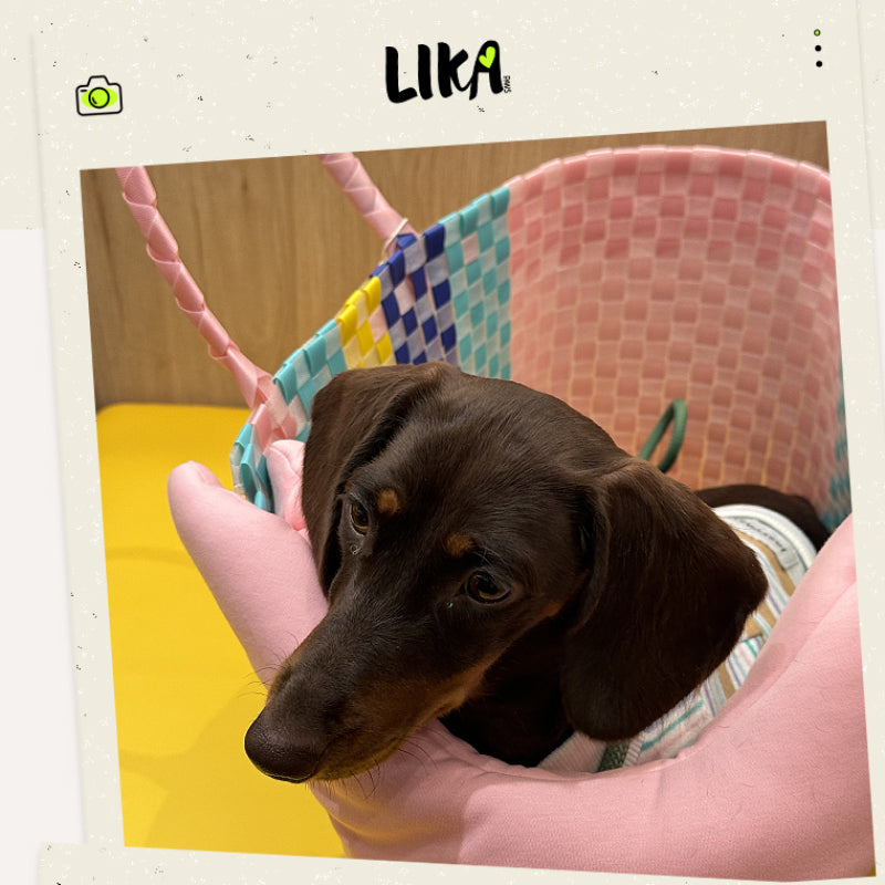 LIKAPAWS® Woven Pet Backpack For Outdoor