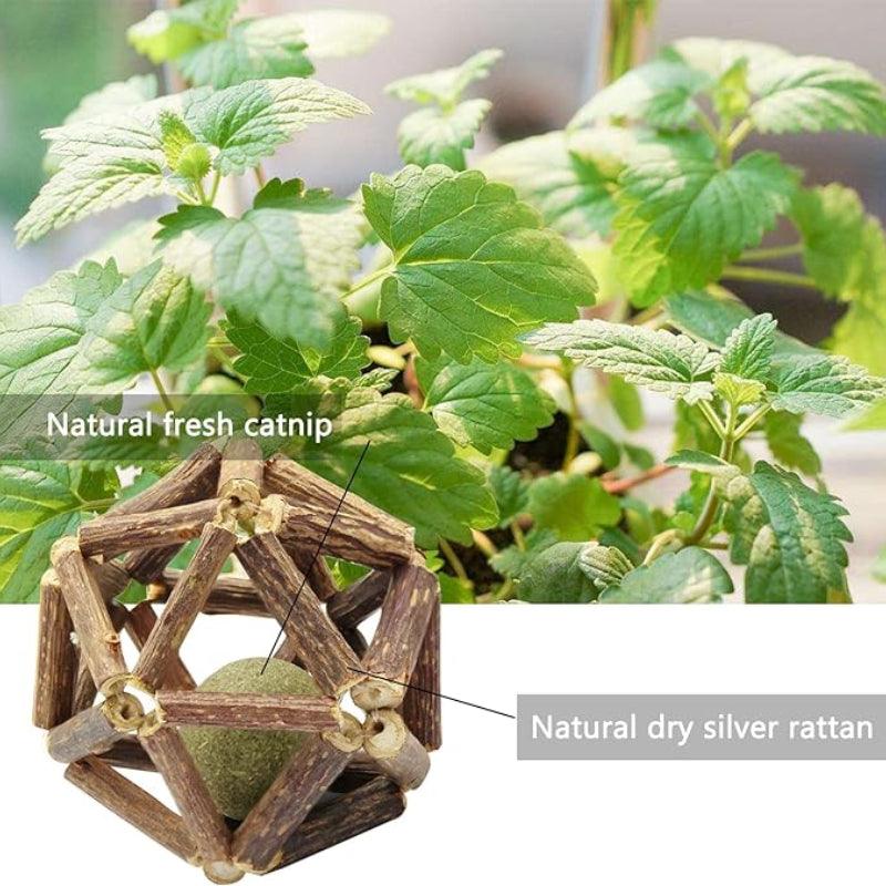 KIKOPALS® Silvervine & Catnip Ball (3PCS) - KIKOPALS