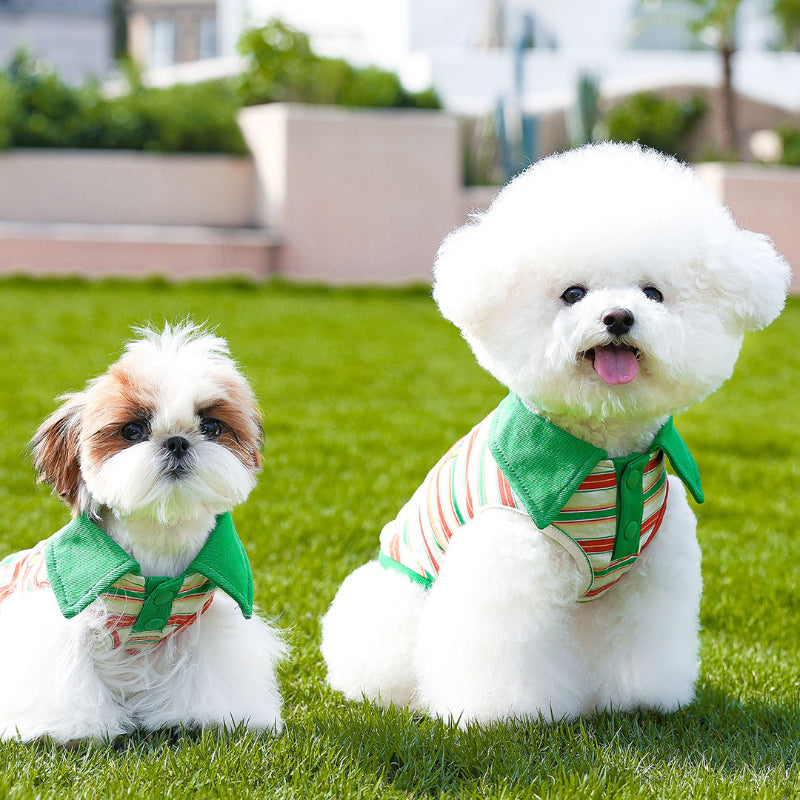 MookiPet® Lightweight Green Pet Vest for Dogs