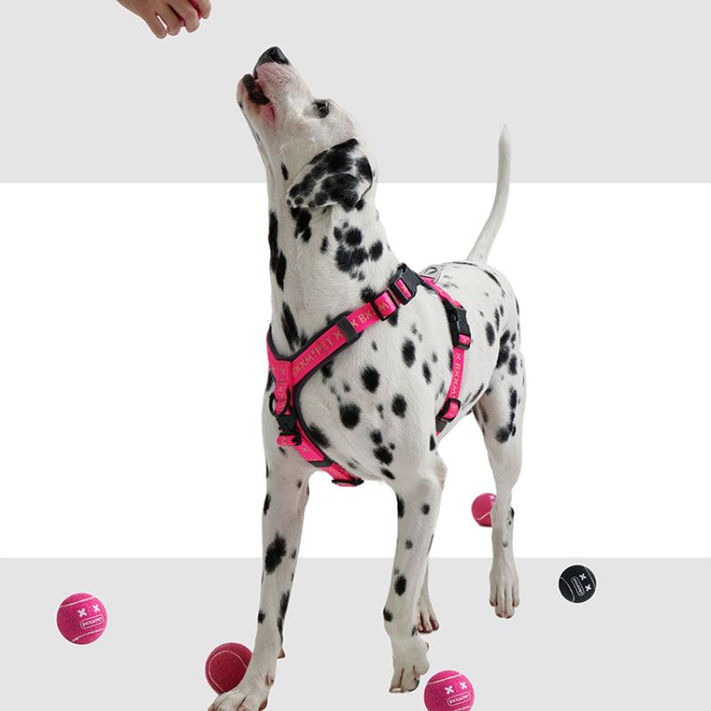 BXXM!PET® Bounce Squeak Chew Dog Toy - KIKOPALS