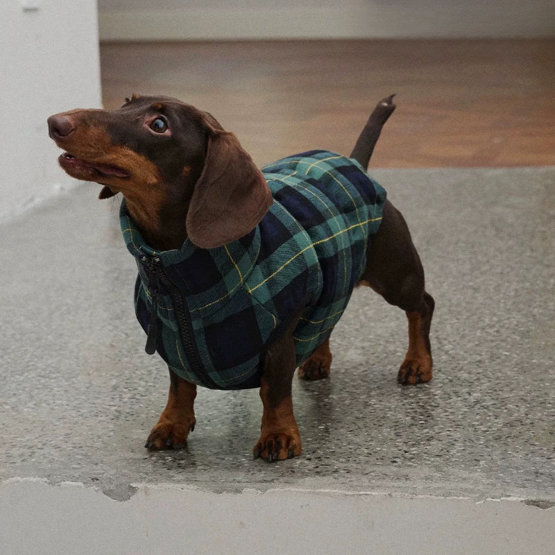 Swingpuppy® Dog Duck Down Hooded Jacket