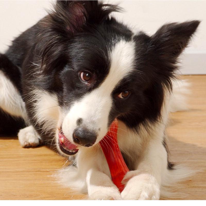 MoovaLab® Durable Chew Toy Bone for Dogs - KIKOPALS