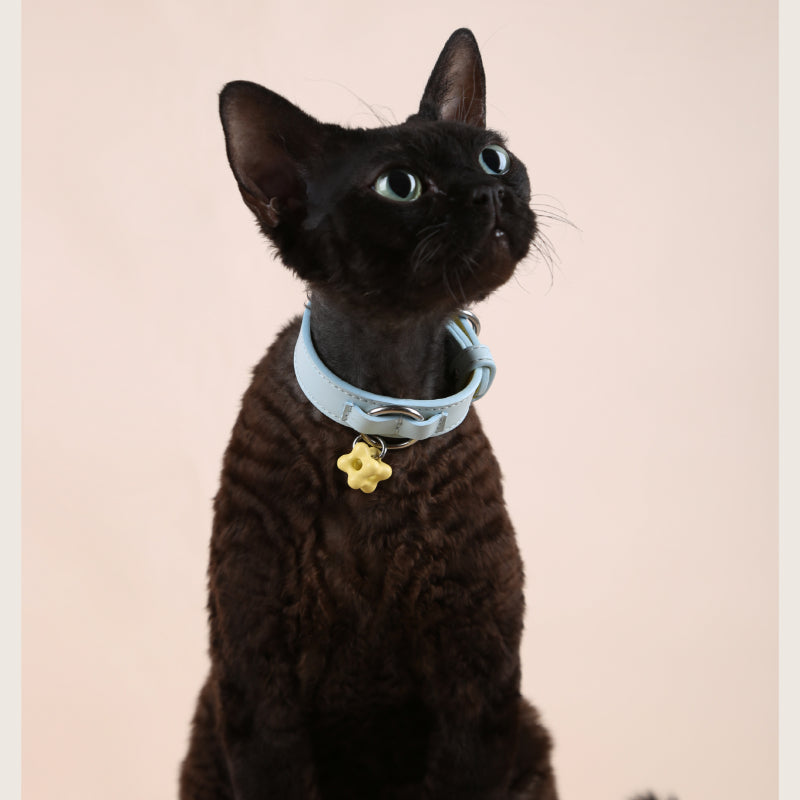 Dottylab® Leather Flower Pet Collar