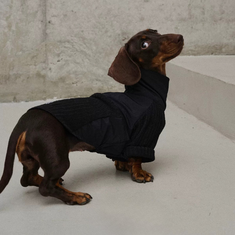 Swingpuppy® Dog Nylon & Knit High-Neck Base Layer