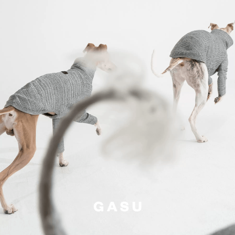 GASU® Grey Slim-Fit Two-Legged Dog Shirt - KIKOPALS