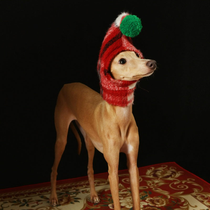 iiNeed® Adorable Red Plaid Hat With Pom-Pom for Dogs