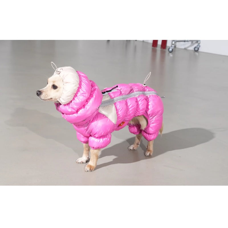 PuppyGallery® Cloud Padded Jacket and Collar for Dogs