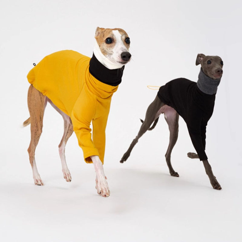 Nuoz® Colorful Gradient Hoodie with Removable Fur Collar for Dogs