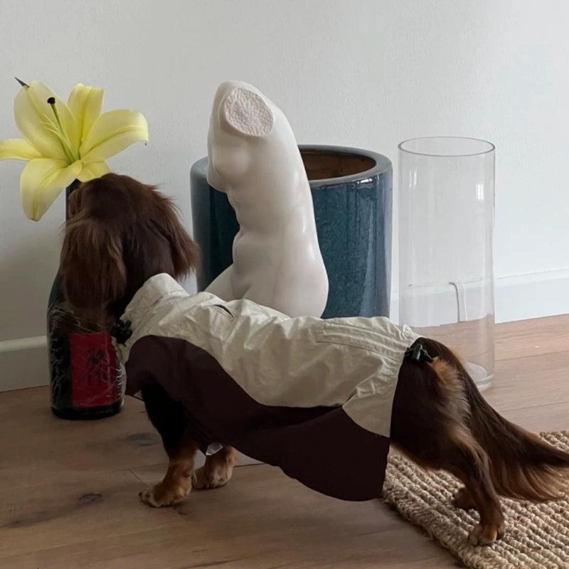 BBPRODUCTION® High-Tech Waterproof Dog Raincoat - KIKOPALS