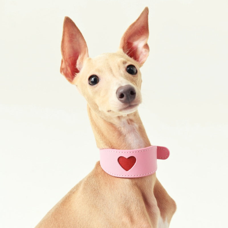 iiNeed® Leather Heart Collar for Whippets Dog