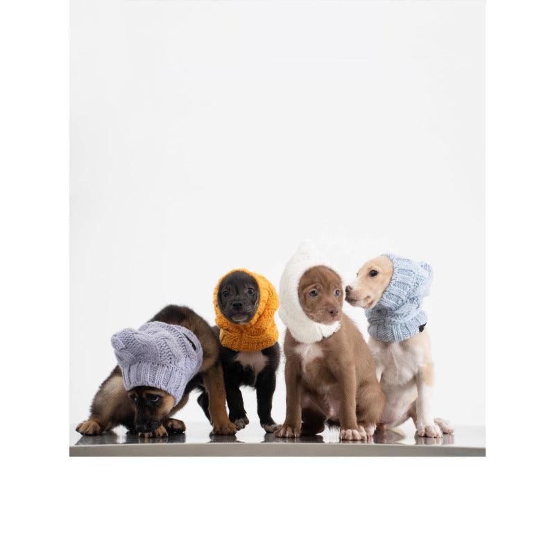 GASU® Cashmere Merino Wool Pet Beanie - KIKOPALS