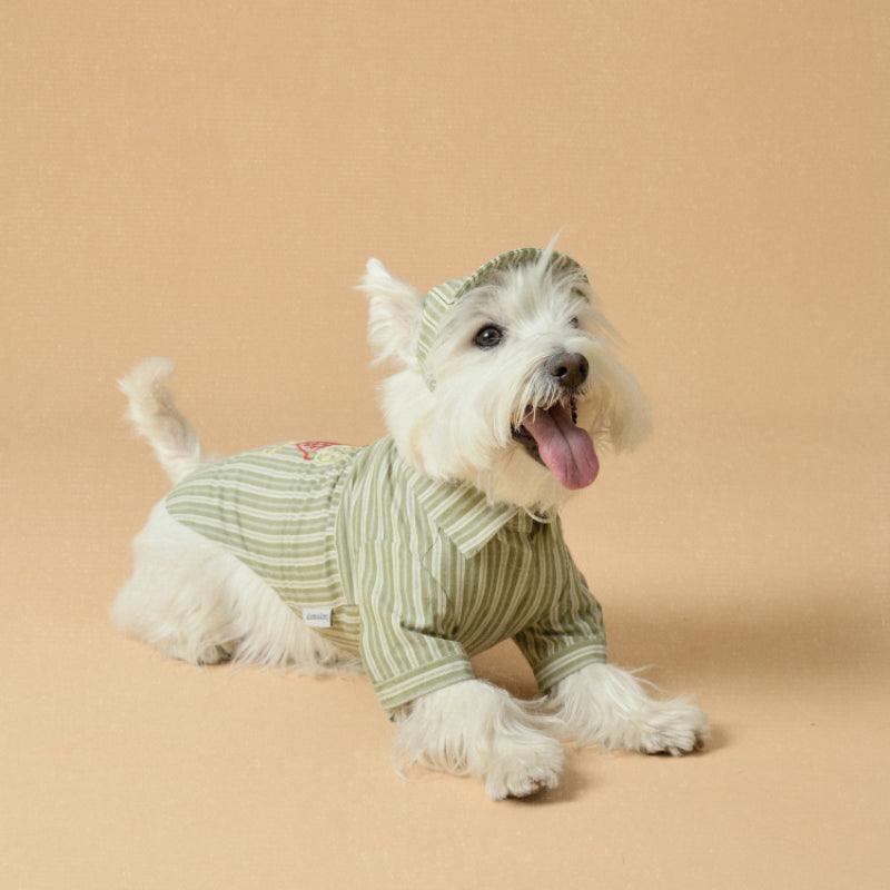 LazyEazy® Striped Pet Hat - KIKOPALS