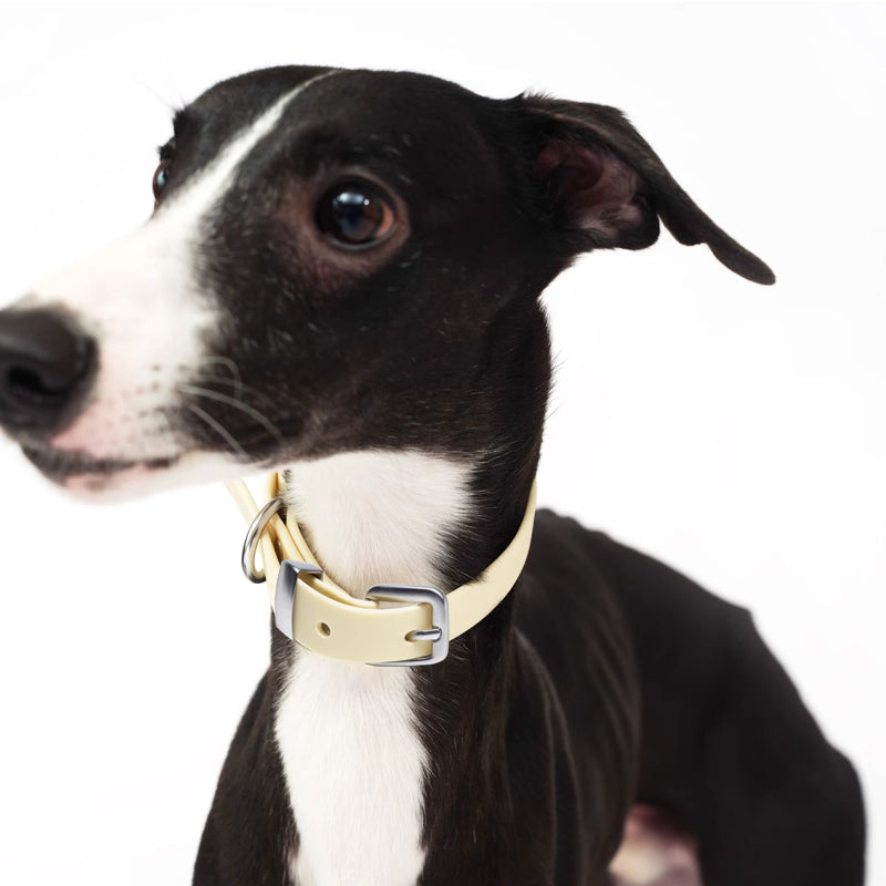 Nuoz® U Series PVC Dog Collar