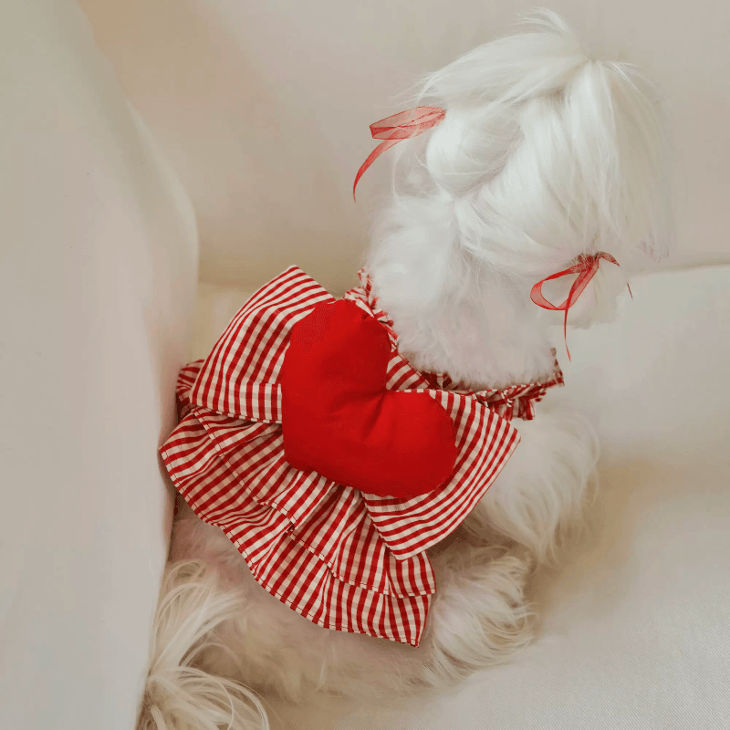 BOWWW® "Love" Red Plaid Pet Skirt - KIKOPALS