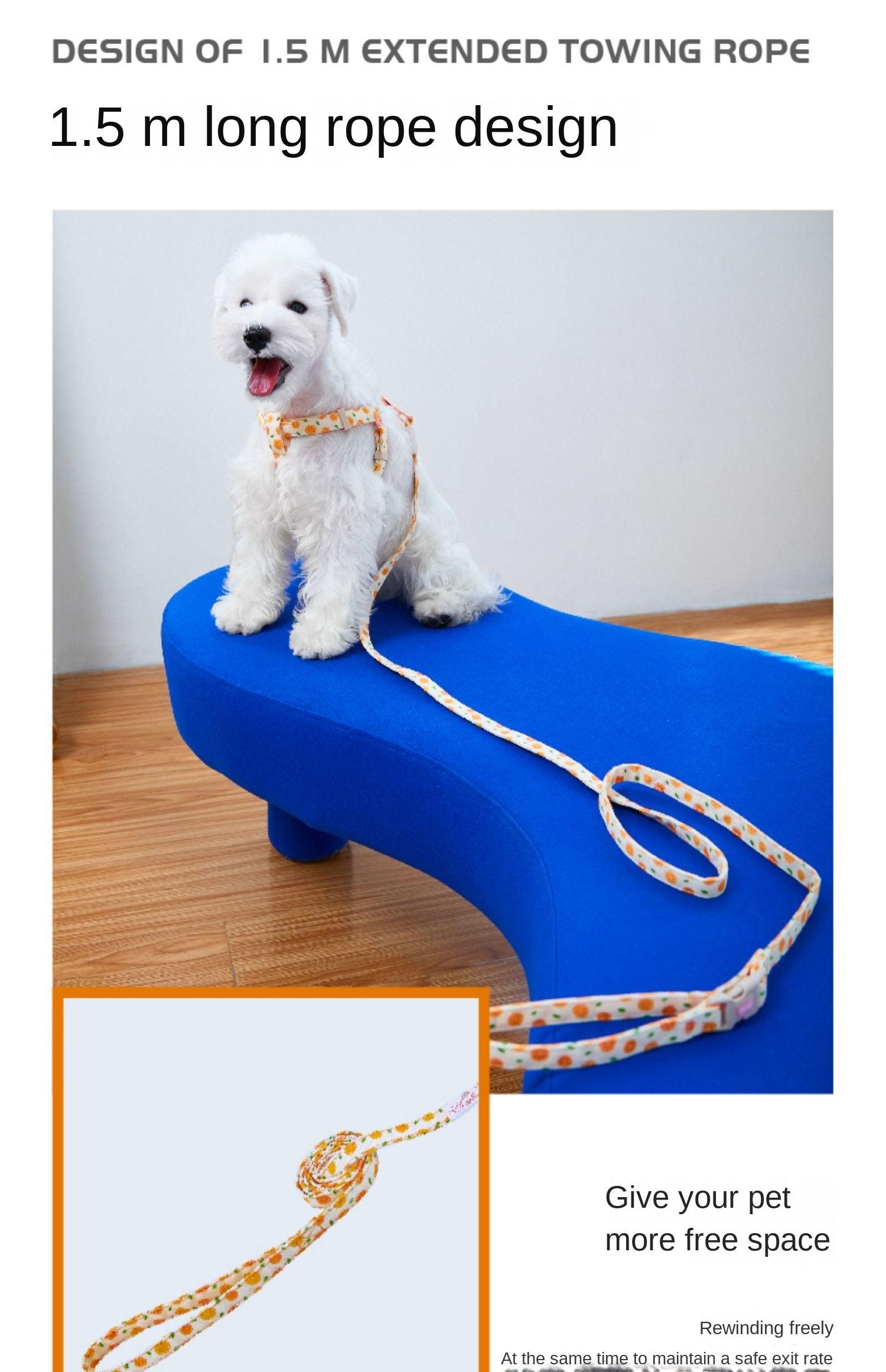 ARKIKA® Fruit-Colored Dog Harness Leash Kit - KIKOPALS