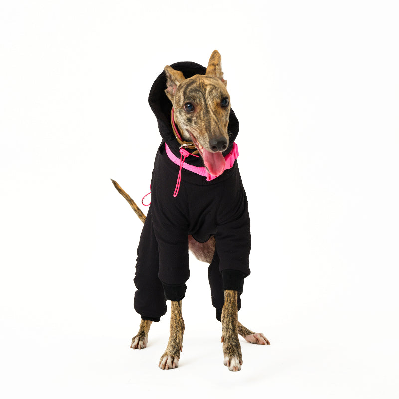 Nuoz® Pet Full-Coverage Cotton Coat for Dogs