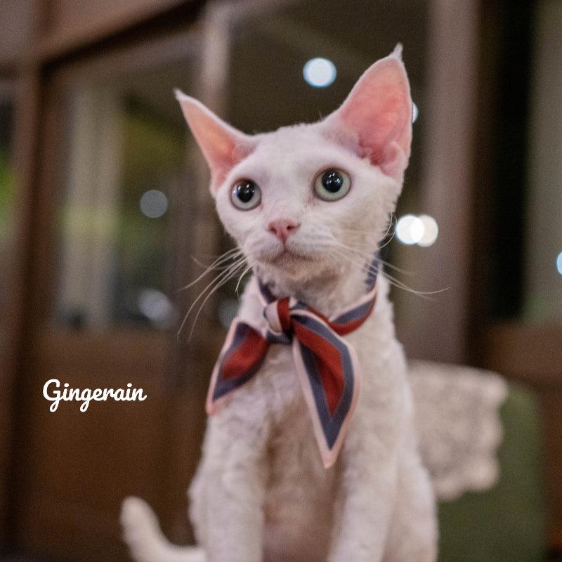 GINGERAIN® Pet Scarf - KIKOPALS