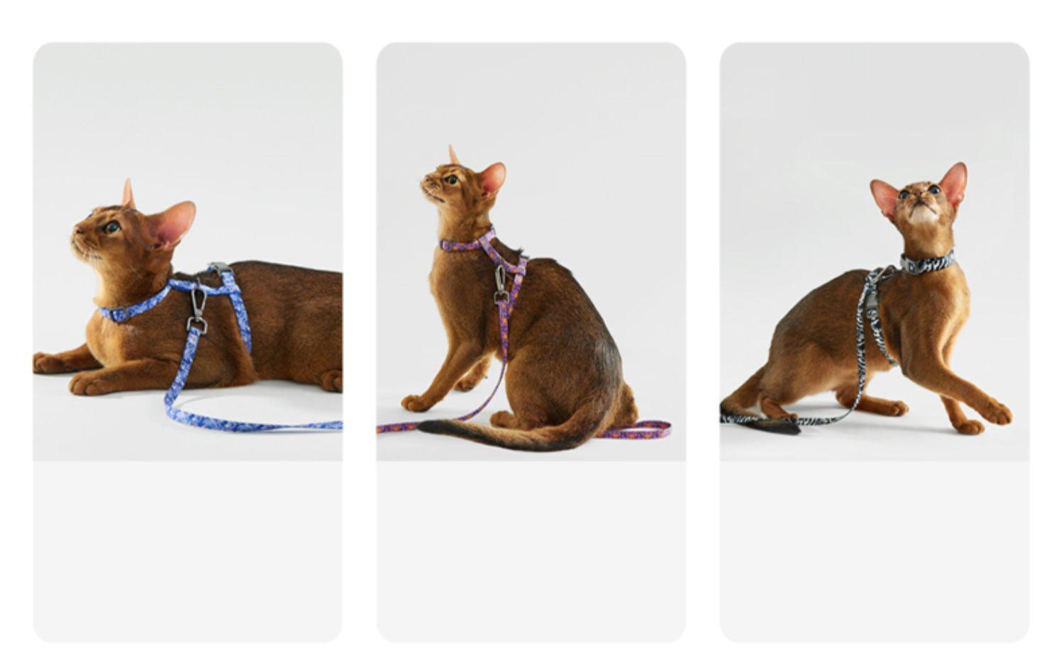 KITTY YOYO® Cat Harness & Leash Kit - KIKOPALS