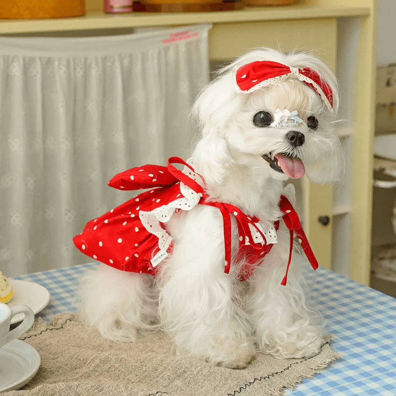 BOWWW® Pet Polka Dot Skirt - KIKOPALS