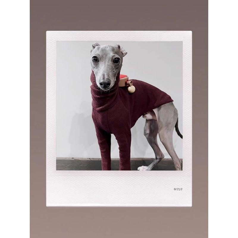 GASU® Textured Linen-Feel Slim Fit Pet Shirt - KIKOPALS