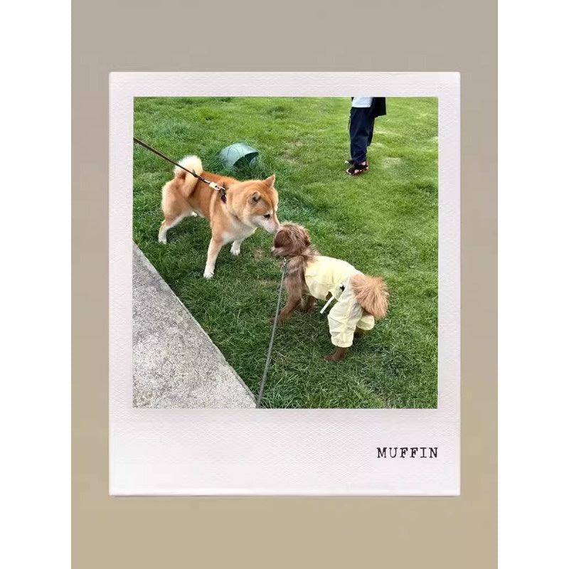 GASU® Reversible Lightweight Dog Overalls - KIKOPALS