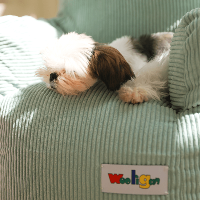Wooligan® Cute Pet Sofa Bed - KIKOPALS