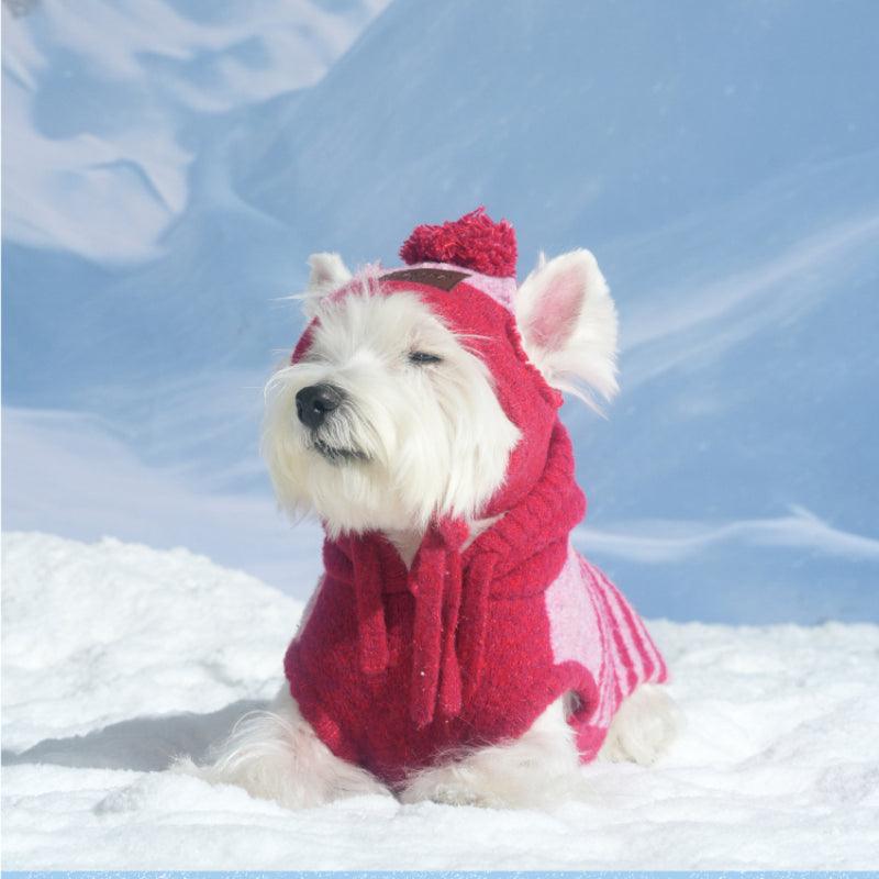 LazyEazy® Knitted Dog Hat - KIKOPALS