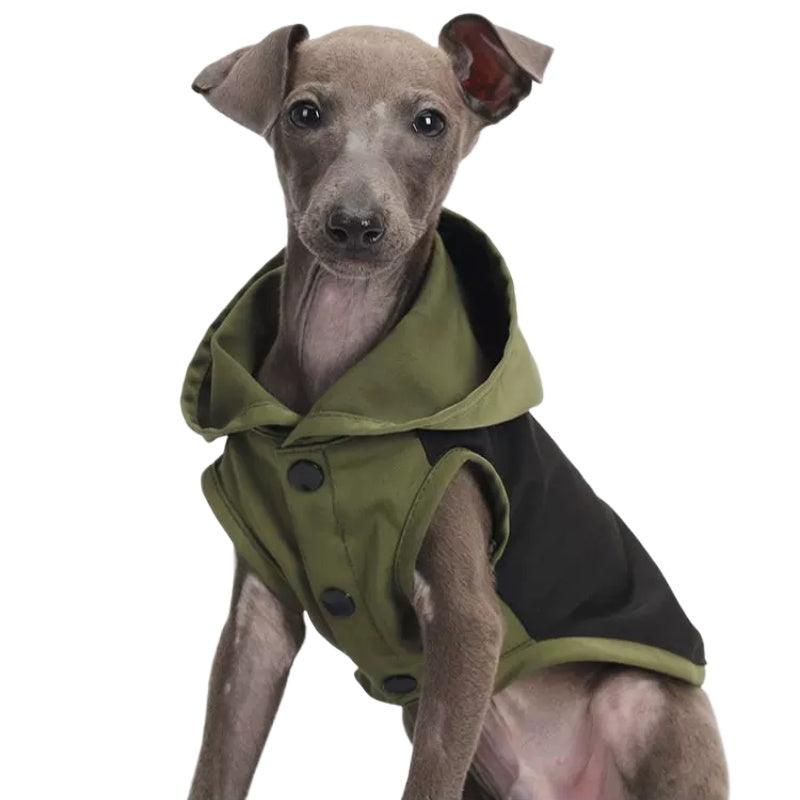 BITEONE® Black/Green Dog Hoodie - KIKOPALS