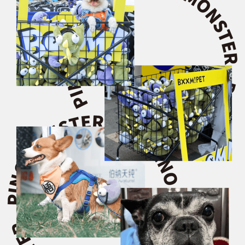 BXXM!PET® Monster Chew Dog Toy - KIKOPALS