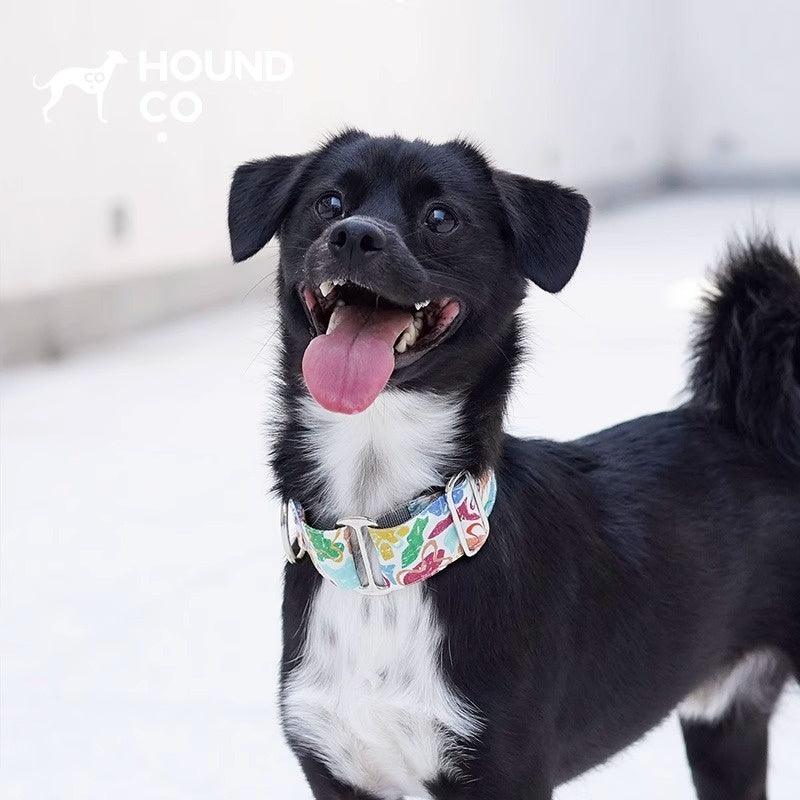 Hound Co.® Colorful Pet Collar - KIKOPALS