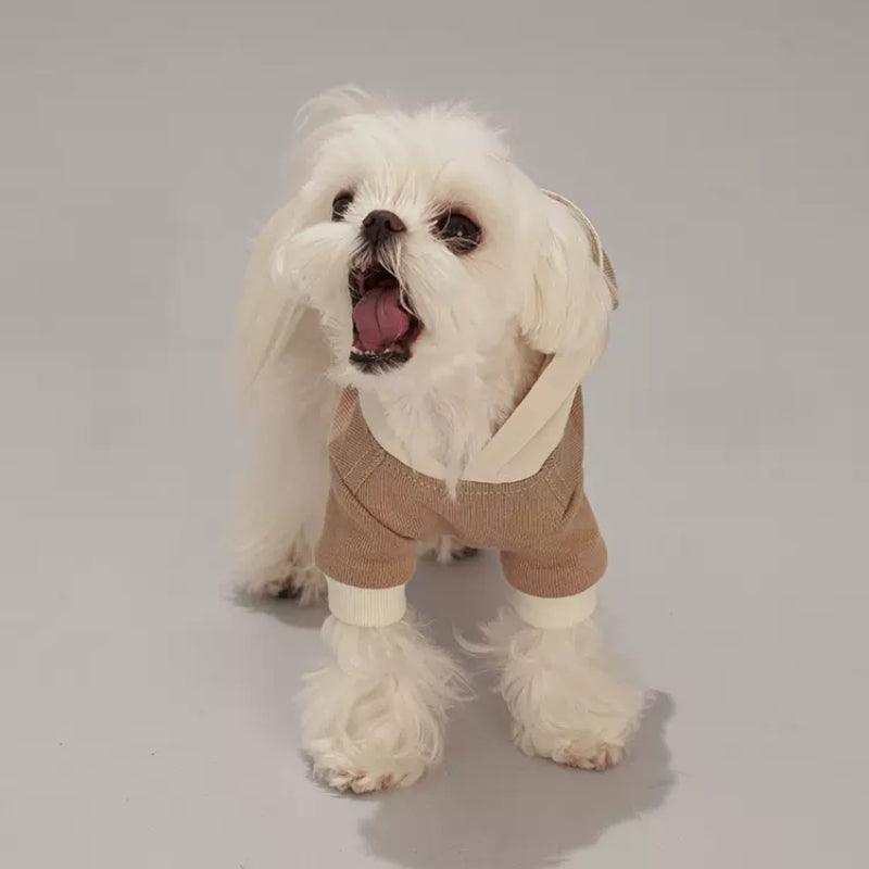 Dottylab® Teddy Ear Pet Hoodie - KIKOPALS