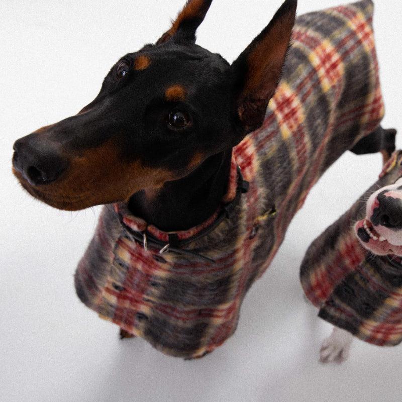 TAORAE® Classic English-Style Dog Cloak with Collar - KIKOPALS