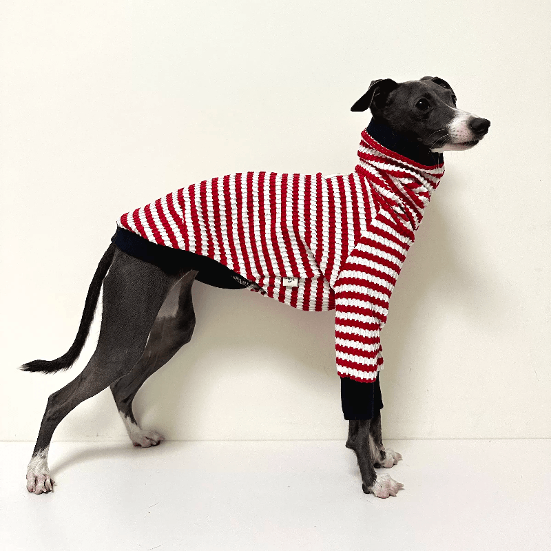 A HUNTING DOG® Dog Red&White Striped T-shirt - KIKOPALS