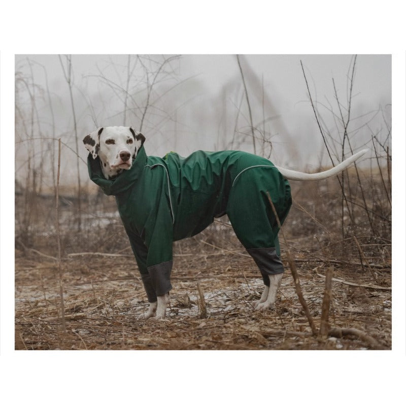 BlackDoggy® Waterproof Dog Raincoat