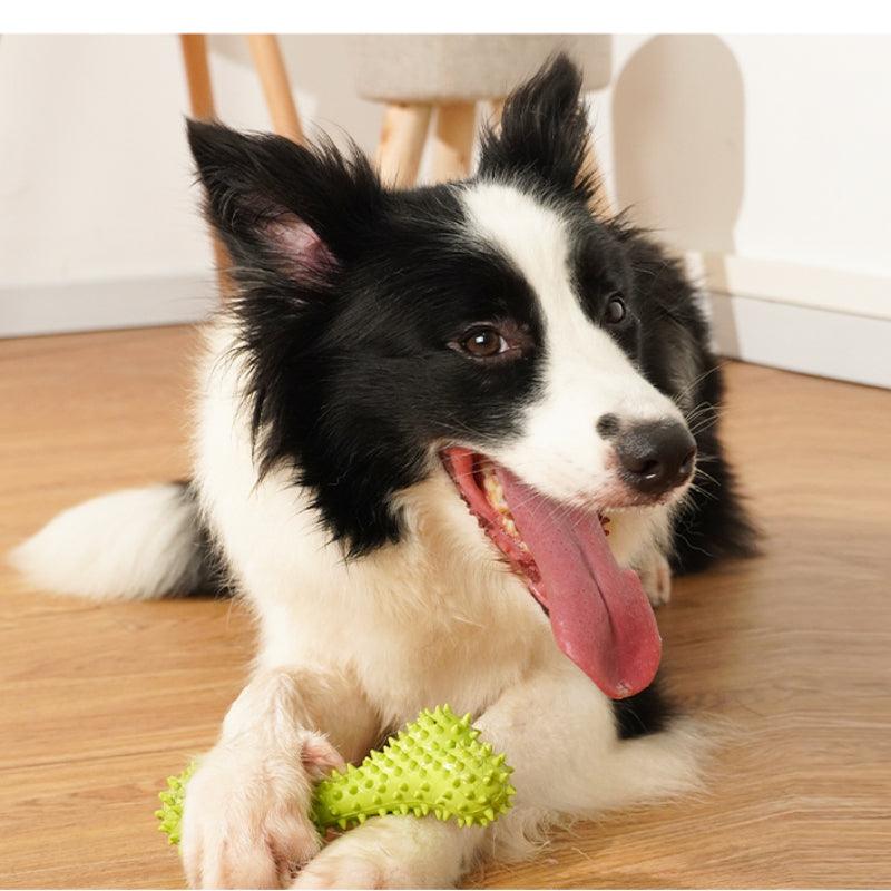 MoovaLab® Durable T-Bone Chew Dog Toy - KIKOPALS