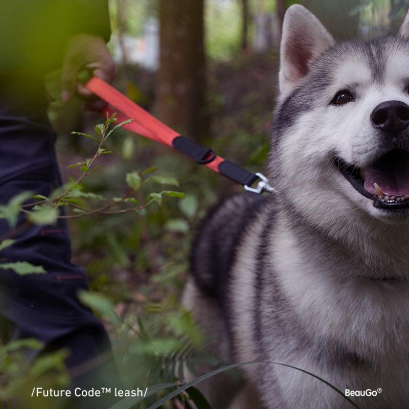 BeauGo® Dog/Cat Leash for Small Pet - KIKOPALS