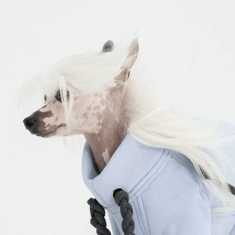 GASU® Flush Cotton Hoodie - KIKOPALS