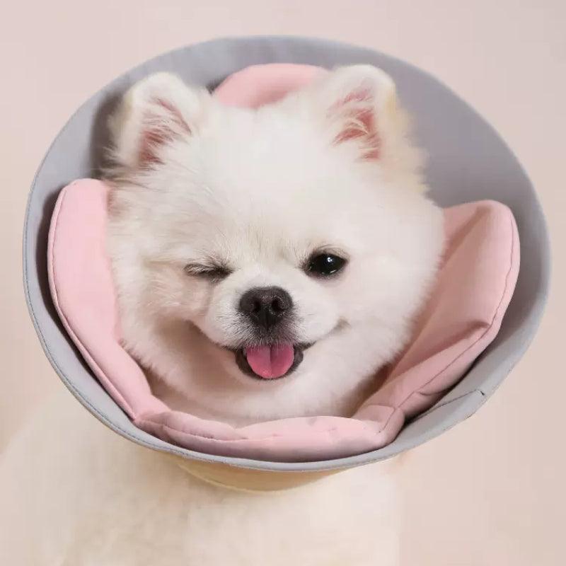 Dottylab® Floral Elizabethan Pet Collar - KIKOPALS