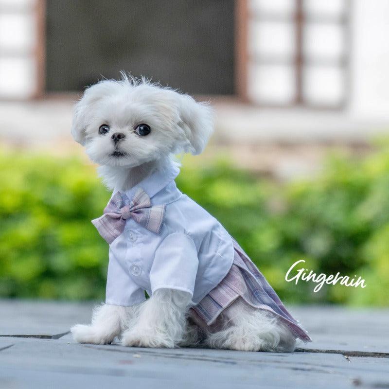 GINGERAIN® Pet Blue JK Dress - KIKOPALS