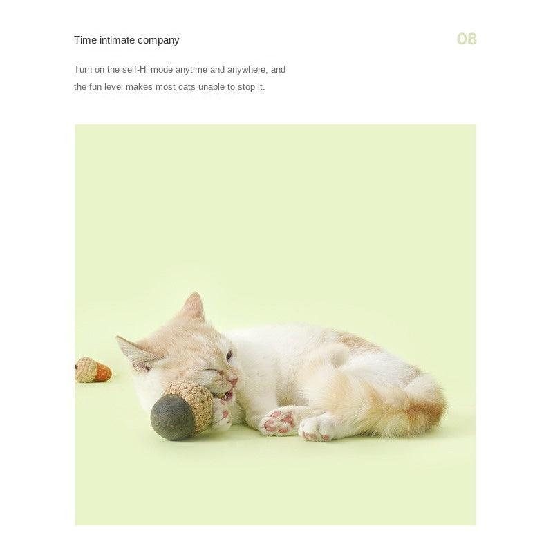 zeze® Acorn Catnip Toys - KIKOPALS